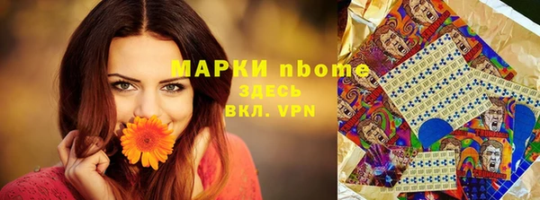стафф Алексин