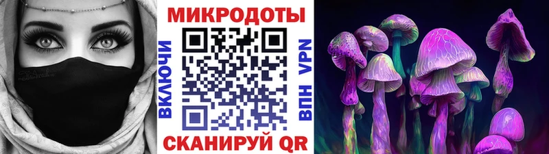 Псилоцибиновые грибы Cubensis  где купить наркоту  Карачев 
